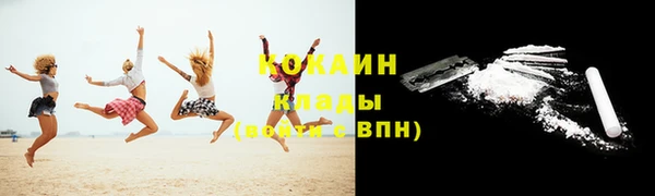 сатива Беломорск