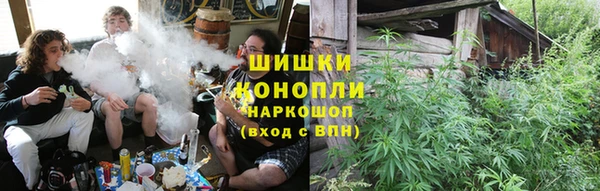 сатива Беломорск