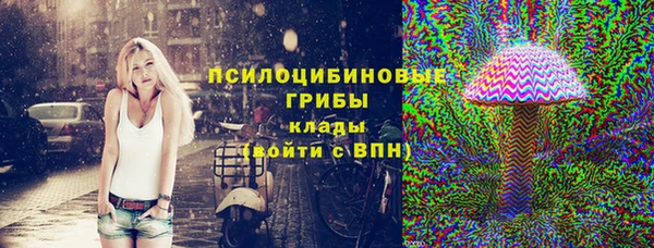 сатива Беломорск