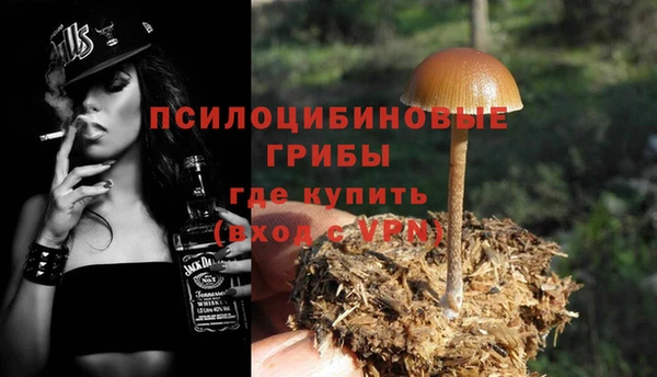 сатива Беломорск
