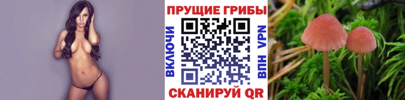Псилоцибиновые грибы Magic Shrooms  Междуреченск 
